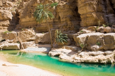 080316-29 Oman - Wadi Shab (Andries3)  [flickr.com]  CC BY-SA 
Información sobre la licencia en 'Verificación de las fuentes de la imagen'