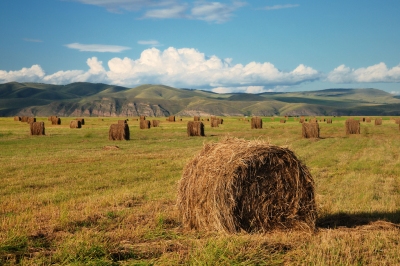 15/365 - Haystacks (Olga Filonenko)  [flickr.com]  CC BY-SA 
Información sobre la licencia en 'Verificación de las fuentes de la imagen'