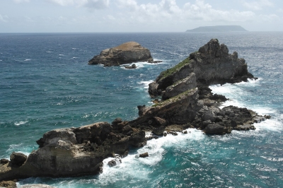 Pointe des Chateaux Guadeloupe (Alexander Mirschel)  Copyright 
Información sobre la licencia en 'Verificación de las fuentes de la imagen'