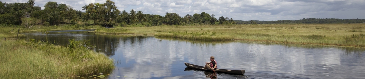 Guyana Panorama (Public Domain / Pixabay)  Public Domain 
Información sobre la licencia en 'Verificación de las fuentes de la imagen'