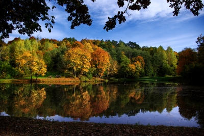 Autumn in Vilnius (Artiom P)  [flickr.com]  CC BY 
Información sobre la licencia en 'Verificación de las fuentes de la imagen'