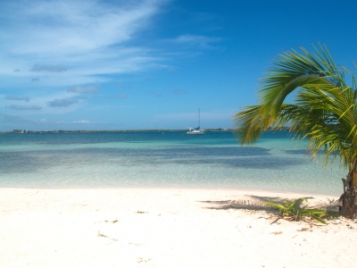 Bando's Beach -  Utila (René Mayorga)  [flickr.com]  CC BY-SA 
Información sobre la licencia en 'Verificación de las fuentes de la imagen'