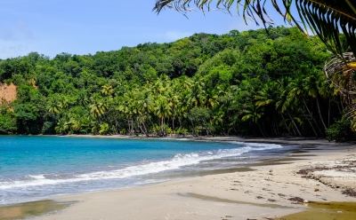 Batibou Beach, Dominica (Matthias Ripp)  [flickr.com]  CC BY 
Información sobre la licencia en 'Verificación de las fuentes de la imagen'