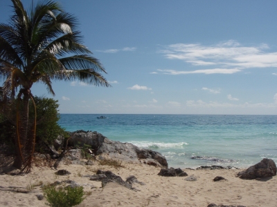 Beach (Christine Rondeau)  [flickr.com]  CC BY 
Información sobre la licencia en 'Verificación de las fuentes de la imagen'