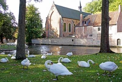 Belgium-6112 - Minnewater (Dennis Jarvis)  [flickr.com]  CC BY-SA 
Información sobre la licencia en 'Verificación de las fuentes de la imagen'