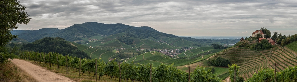 Blick übers Durbachtal (Schwarzwert Naturfotografie)  [flickr.com]  CC BY 
Información sobre la licencia en 'Verificación de las fuentes de la imagen'