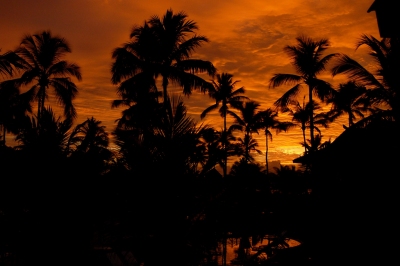 Brasil... sunrise. (M.J.Ambriola)  [flickr.com]  CC BY-SA 
Información sobre la licencia en 'Verificación de las fuentes de la imagen'