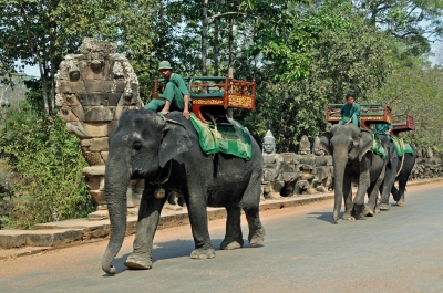 Cambodia-2410 - Angkor Thom's Taxi !! (Dennis Jarvis)  [flickr.com]  CC BY-SA 
Información sobre la licencia en 'Verificación de las fuentes de la imagen'