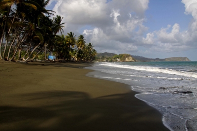 Carapuse Bay, Tobago (neiljs)  [flickr.com]  CC BY 
Información sobre la licencia en 'Verificación de las fuentes de la imagen'