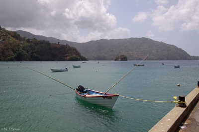 Charlotteville, Tobago (neiljs)  [flickr.com]  CC BY 
Información sobre la licencia en 'Verificación de las fuentes de la imagen'