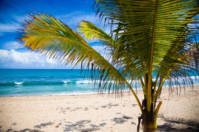 Condado Beach, San Juan, Puerto Rico (Breezy Baldwin)  [flickr.com]  CC BY 
Información sobre la licencia en 'Verificación de las fuentes de la imagen'