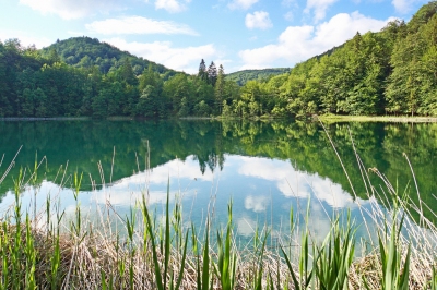 Croatia-00869 - Great Place to Reflect (Dennis Jarvis)  [flickr.com]  CC BY-SA 
Información sobre la licencia en 'Verificación de las fuentes de la imagen'