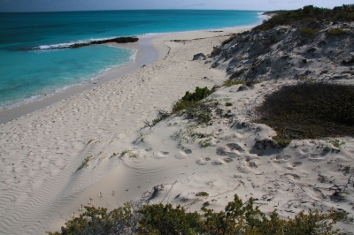 Cuba - Cayo Santa Maria (Michele Testini)  [flickr.com]  CC BY-ND 
Información sobre la licencia en 'Verificación de las fuentes de la imagen'