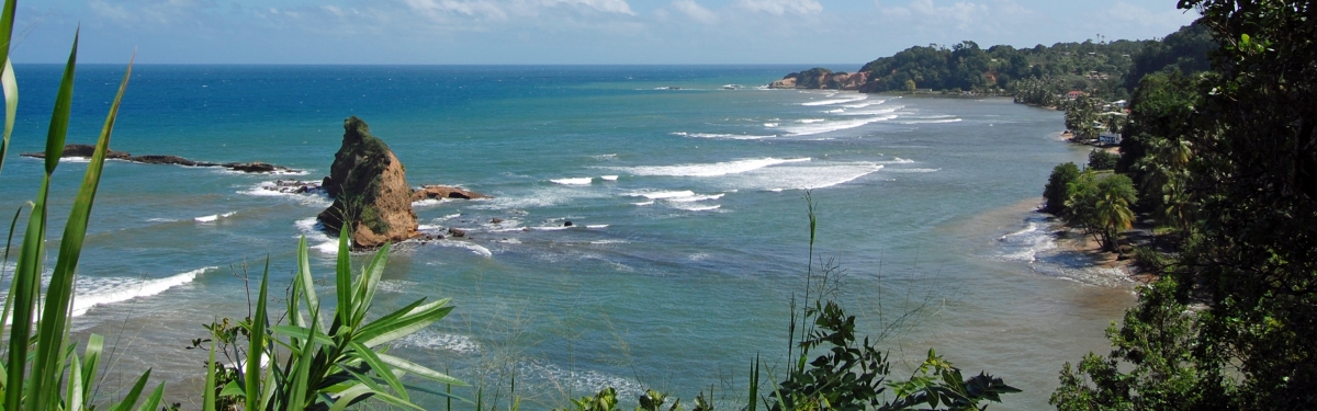 Dominica Coastline (Ken Bosma)  [flickr.com]  CC BY 
Información sobre la licencia en 'Verificación de las fuentes de la imagen'