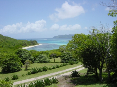 DSC06711, Petit St. Vincent (PSV), Winward Island, The Grenadines, Caribbean (Lyn Gateley)  [flickr.com]  CC BY 
Información sobre la licencia en 'Verificación de las fuentes de la imagen'