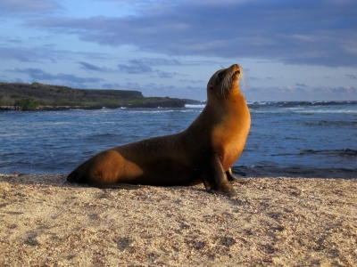 Preestreno: Mejor época para viajar a Ecuador