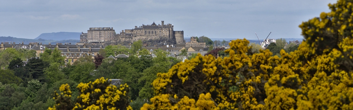 Edinburgh Castle (Magnus Hagdorn)  [flickr.com]  CC BY-SA 
Información sobre la licencia en 'Verificación de las fuentes de la imagen'