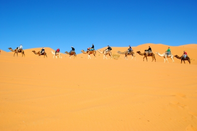 Erg Chebbi (just_a_cheeseburger)  [flickr.com]  CC BY 
Información sobre la licencia en 'Verificación de las fuentes de la imagen'