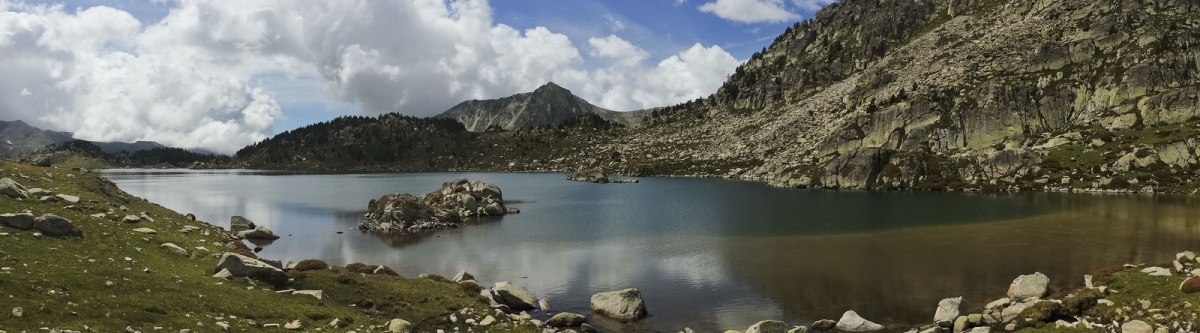 ESTANY DE MONTMALUS 000 (Ferran Llorens)  [flickr.com]  CC BY-SA 
Información sobre la licencia en 'Verificación de las fuentes de la imagen'