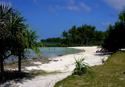 Eton Beach, Efate, Vanuatu, 4 June 2006 (Phillip Capper)  [flickr.com]  CC BY 
Información sobre la licencia en 'Verificación de las fuentes de la imagen'