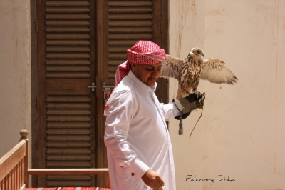 Falconry, Doha, Qatar. (Jan Smith)  [flickr.com]  CC BY 
Información sobre la licencia en 'Verificación de las fuentes de la imagen'