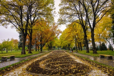 fall foliage in Moscow (Brandon)  [flickr.com]  CC BY 
Información sobre la licencia en 'Verificación de las fuentes de la imagen'