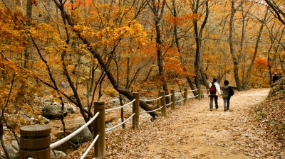 Fall, Korea (PlaneMad)  [flickr.com]  CC BY-SA 
Información sobre la licencia en 'Verificación de las fuentes de la imagen'