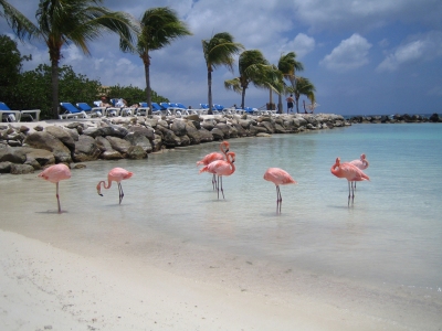 Flamingo Beach (Bevis Chin)  [flickr.com]  CC BY-ND 
Información sobre la licencia en 'Verificación de las fuentes de la imagen'