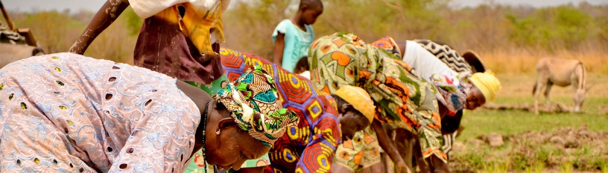 Gambia (Sheena)  [flickr.com] 