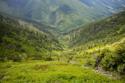 Green valley in Krkonose (Roman Boed)  [flickr.com]  CC BY 
Información sobre la licencia en 'Verificación de las fuentes de la imagen'