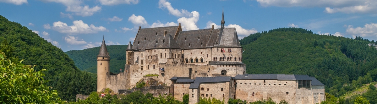 Kasteel Vianden - Vianden - Diekirch - Luxemburg (Frans Berkelaar)  [flickr.com]  CC BY-SA 
Información sobre la licencia en 'Verificación de las fuentes de la imagen'