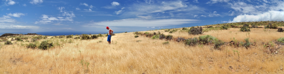 La Gomera (Lydia Steinmassl)  [flickr.com]  CC BY 
Información sobre la licencia en 'Verificación de las fuentes de la imagen'