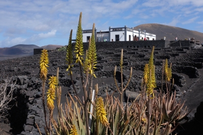 Información climática de Lanzarote