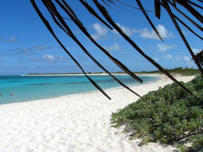 Loblolly Beach, Anegada, BVI (Kathleen Tyler Conklin)  [flickr.com]  CC BY 
Información sobre la licencia en 'Verificación de las fuentes de la imagen'