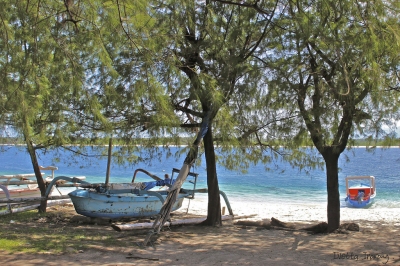 Lombok, Indonesia (Ivetta Inaray)  [flickr.com]  CC BY 
Información sobre la licencia en 'Verificación de las fuentes de la imagen'