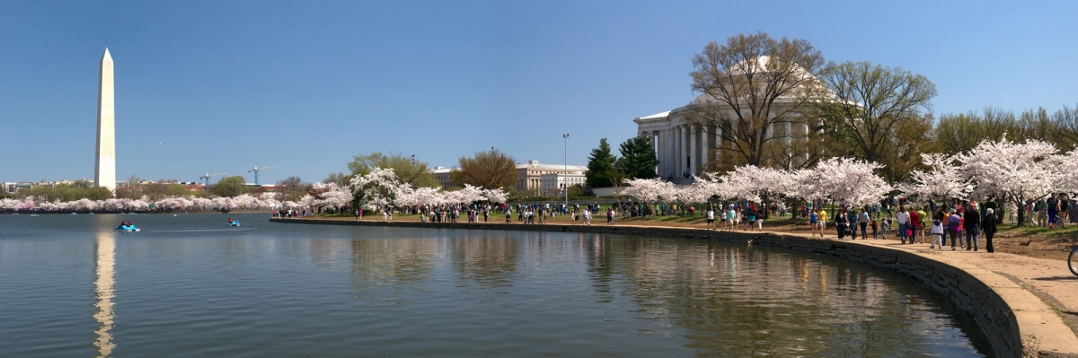 Monuments and Blossoms (Karen Blaha)  [flickr.com]  CC BY-SA 
Información sobre la licencia en 'Verificación de las fuentes de la imagen'