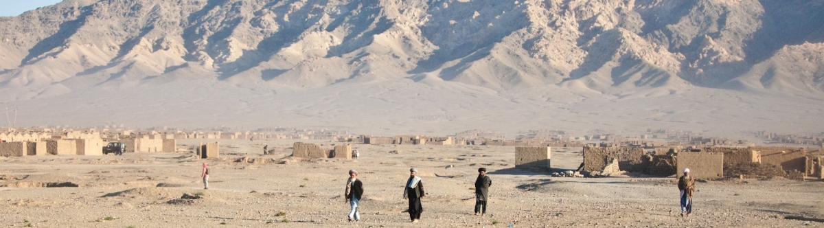 Moring glory - Outside Herat - Afghanistan (Marius Arnesen)  [flickr.com]  CC BY-SA 
Información sobre la licencia en 'Verificación de las fuentes de la imagen'