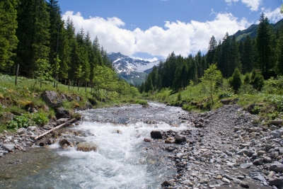 Mountain stream (Clemens v. Vogelsang)  [flickr.com]  CC BY 
Información sobre la licencia en 'Verificación de las fuentes de la imagen'