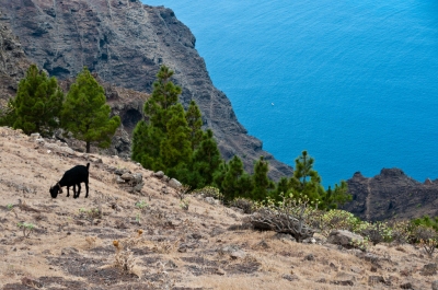 Preestreno: Mejor época para viajar a La Gomera