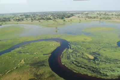 Okavango Delta, Botswana (Joachim Huber)  [flickr.com]  CC BY-SA 
Información sobre la licencia en 'Verificación de las fuentes de la imagen'