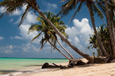 Otto Beach - Little Corn Island - Nicaragua (Brian Johnson & Dane Kantner)  [flickr.com]  CC BY-SA 
Información sobre la licencia en 'Verificación de las fuentes de la imagen'