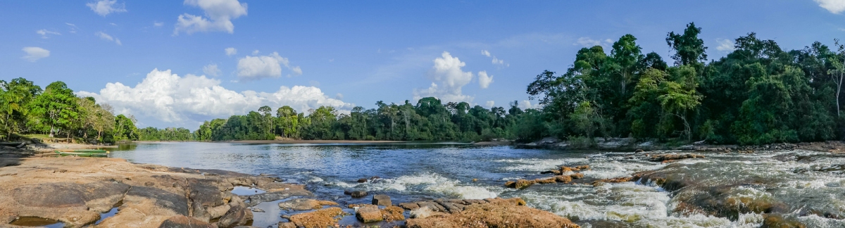 Panoramic view of the Suriname river near Gunsi (-JvL-)  [flickr.com]  CC BY 
Información sobre la licencia en 'Verificación de las fuentes de la imagen'
