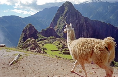 Peru-238 (Dennis Jarvis)  [flickr.com]  CC BY-SA 
Información sobre la licencia en 'Verificación de las fuentes de la imagen'