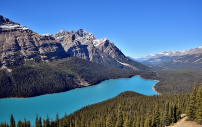 Peyto Lake / Canada (Eric Bauer)  [flickr.com]  CC BY-SA 
Información sobre la licencia en 'Verificación de las fuentes de la imagen'