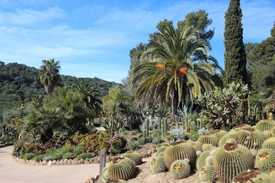 Pinya de Rosa (Albert Torelló)  [flickr.com]  CC BY-SA 
Información sobre la licencia en 'Verificación de las fuentes de la imagen'