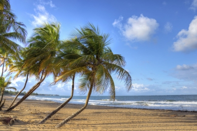 Puerto Rico Beach Scene (Joshua Siniscal)  [flickr.com]  CC BY-ND 
Información sobre la licencia en 'Verificación de las fuentes de la imagen'