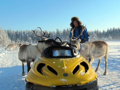 reindeer man feeding the reindeer in Lapland (Heather Sunderland)  [flickr.com]  CC BY 
Información sobre la licencia en 'Verificación de las fuentes de la imagen'