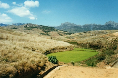 Rice fields and mountains (Leonora Enking)  [flickr.com]  CC BY-SA 
Información sobre la licencia en 'Verificación de las fuentes de la imagen'