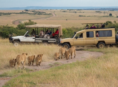 Safari in The Maasai Mara (Ray in Manila)  [flickr.com]  CC BY 
Información sobre la licencia en 'Verificación de las fuentes de la imagen'