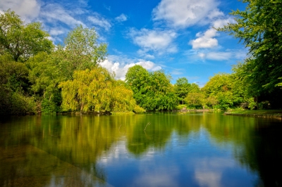 Saint Stephen's Green - HDR (Nicolas Raymond)  [flickr.com]  CC BY 
Información sobre la licencia en 'Verificación de las fuentes de la imagen'